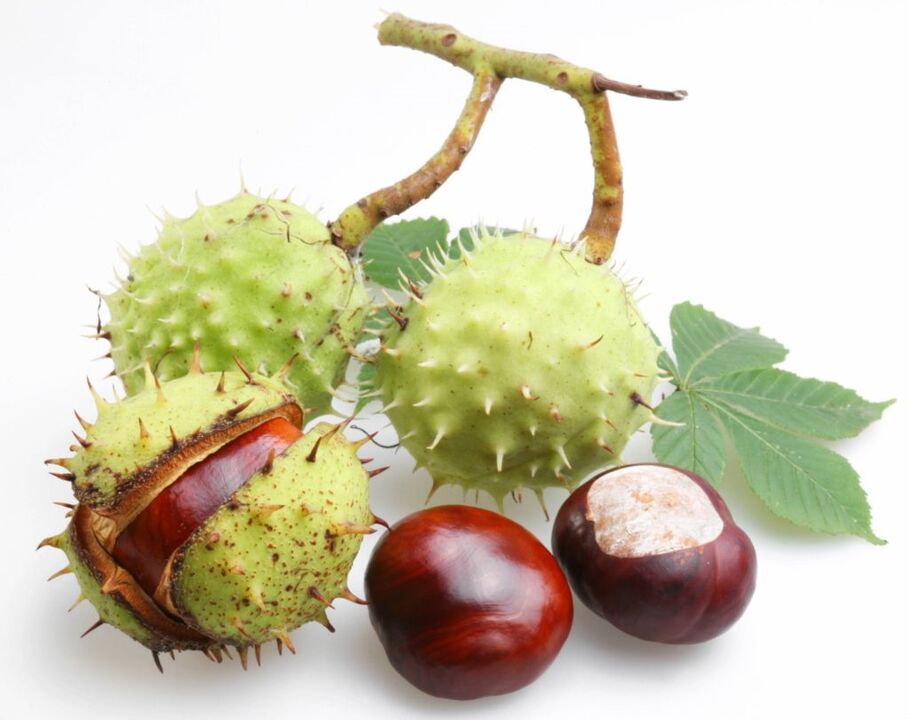 Horse chestnut extract at Neoveris