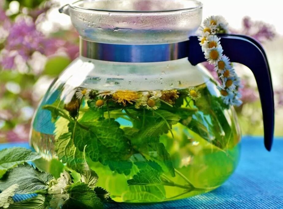 Infusion of plant collection from varicose veins