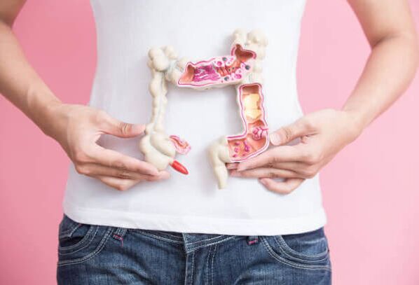 The functioning of the intestines
